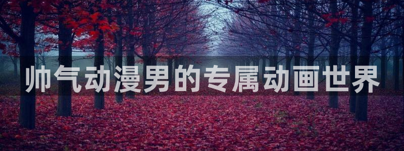 布丁动漫官网