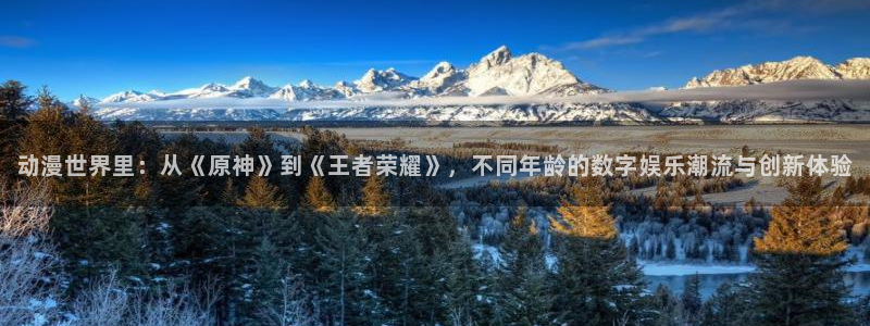 布丁动漫6：动漫世界里：从《原神》到《王者荣耀》，不同年龄的数字娱乐潮流与创新体验